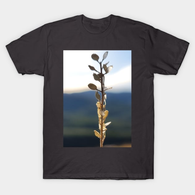 Mountain life T-Shirt by ReanimatedStore